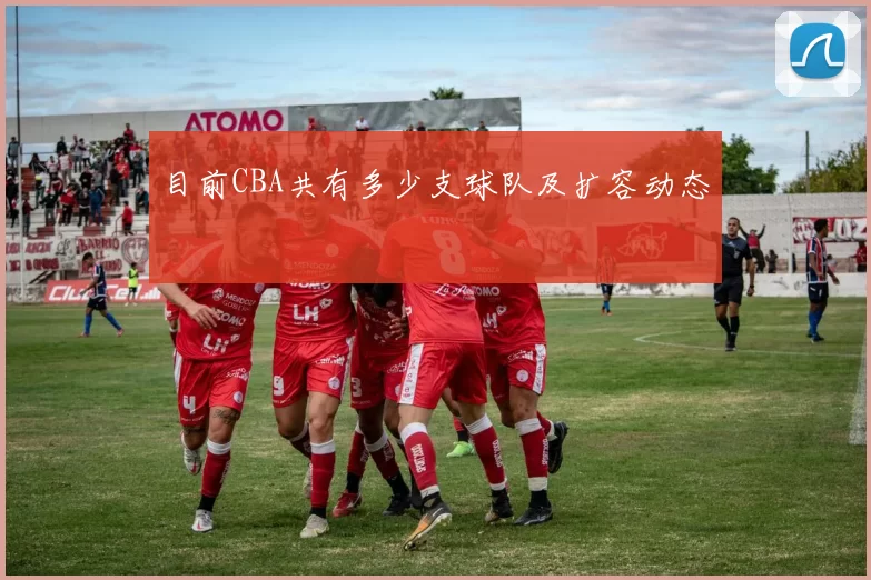 目前CBA共有多少支球队及扩容动态