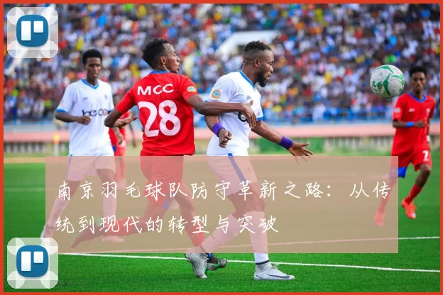 南京羽毛球队防守革新之路：从传统到现代的转型与突破