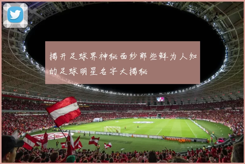 揭开足球界神秘面纱那些鲜为人知的足球明星名字大揭秘