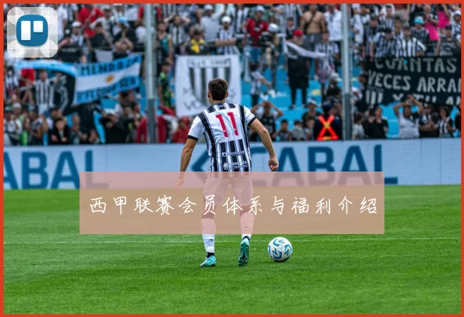 西甲联赛会员体系与福利介绍
