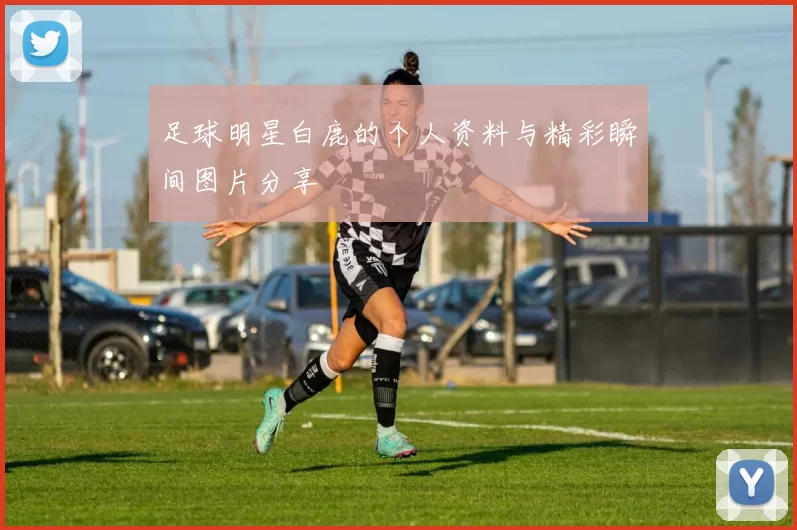 足球明星白鹿的个人资料与精彩瞬间图片分享