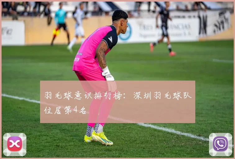 羽毛球意识排行榜：深圳羽毛球队位居第4名