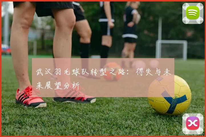 武汉羽毛球队转型之路：得失与未来展望分析