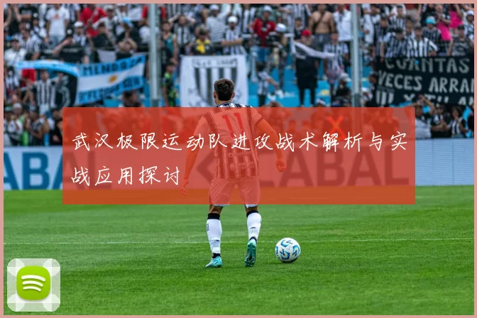 武汉极限运动队进攻战术解析与实战应用探讨
