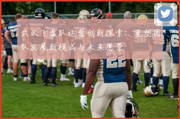 武汉飞盘队运营创新探索：重塑团队发展新模式与未来愿景