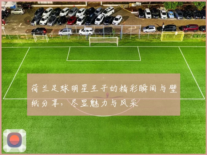 荷兰足球明星王子的精彩瞬间与壁纸分享，尽显魅力与风采