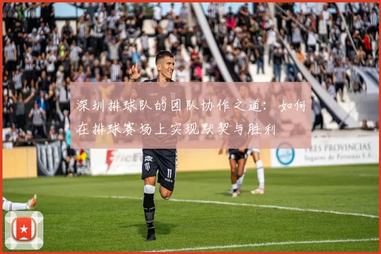 深圳排球队的团队协作之道：如何在排球赛场上实现默契与胜利