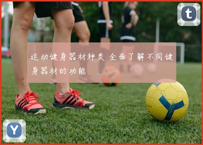 运动健身器材种类 全面了解不同健身器材的功能