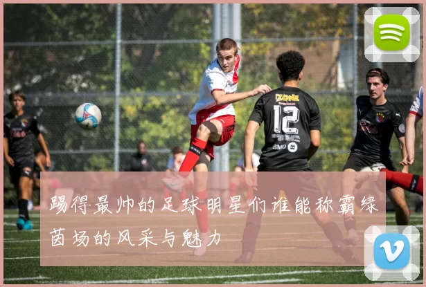 踢得最帅的足球明星们谁能称霸绿茵场的风采与魅力