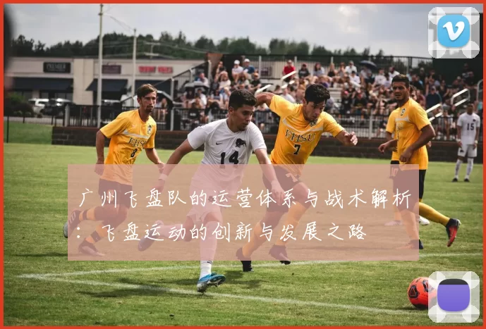 广州飞盘队的运营体系与战术解析：飞盘运动的创新与发展之路